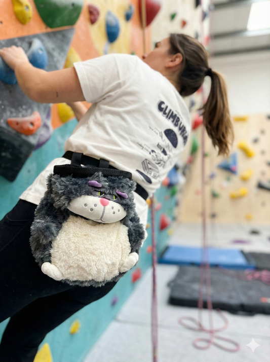 Grumpy Cat krétászsák